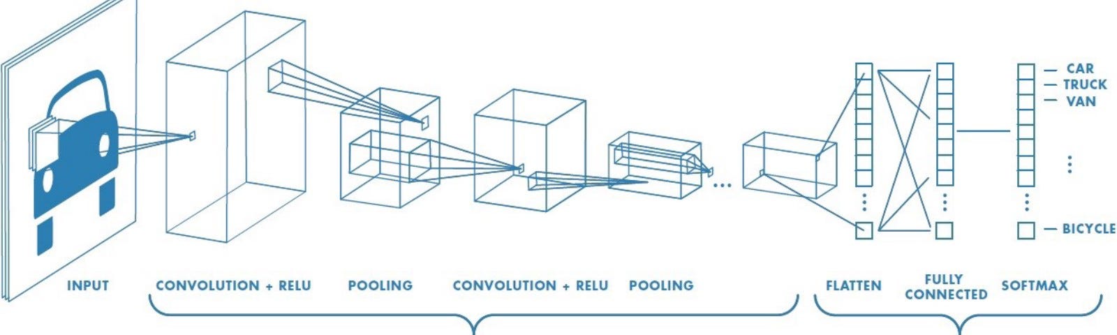The Evolution of CNN: Bias, Viewership Shifts, and Future